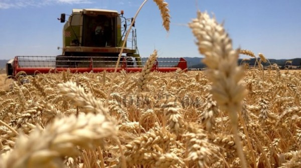 Más de 2.000 millones de dólares en 15 días: que meta sobrecumplió el Gobierno y alivia al Banco Central