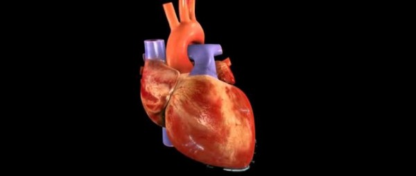 Enfermedades cardíacas: cuáles son los factores de riesgo menos conocidos y cómo reducirlos