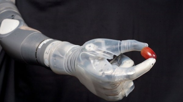 Se aprob� el dise�o de un nuevo 