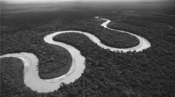 Amazonas bajo fuego cruzado, comercio y finanzas en verdes