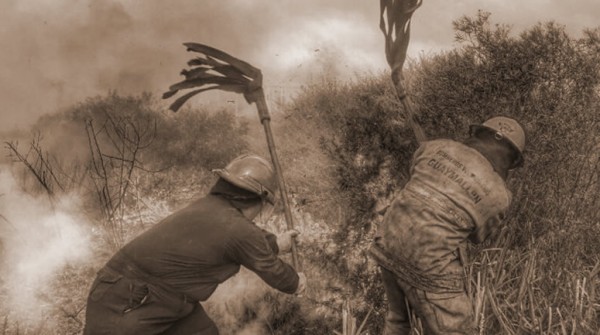 Incendios, cortes de luz y altas temperaturas en la regi�n de Cuyo por el viento Zonda