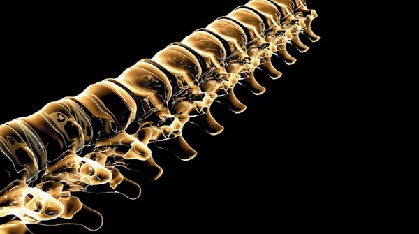 C�mo cuidar la columna para evitar molestias en la espalda