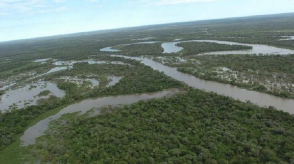 El impenetrable de Chaco fue declarado parque nacional