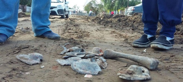 �Gesti�n Corral?: Restos �seos y de l�pidas para �mejorar� las calles de Alto Verde