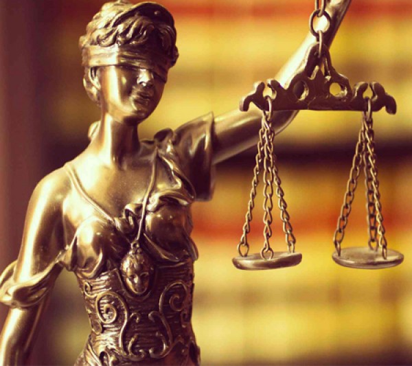 El nuevo c�digo procesal civil y comercial refleja los valores que la sociedad reclama