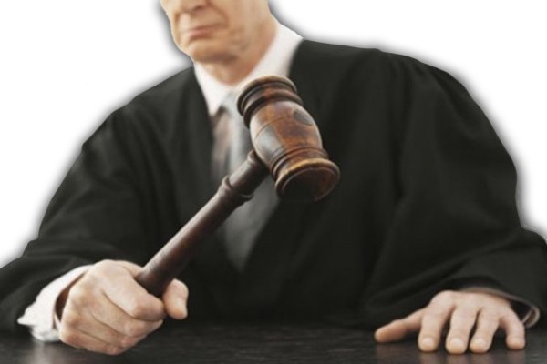 C�rdoba: consideran como �armas� a un Dogo y a una Rottweiller utilizados por ladrones