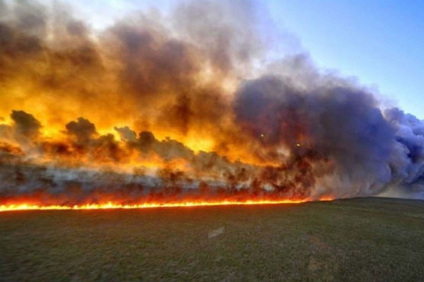 Recuperar el ecosistema del Amazonas llevará entre 200 y 500 años