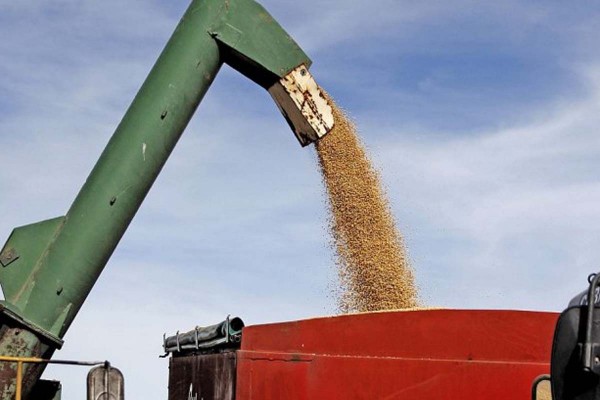 Suba de las retenciones: los productores de harina y aceite de soja pidieron al Gobierno un �trato igualitario� con el resto de las industrias