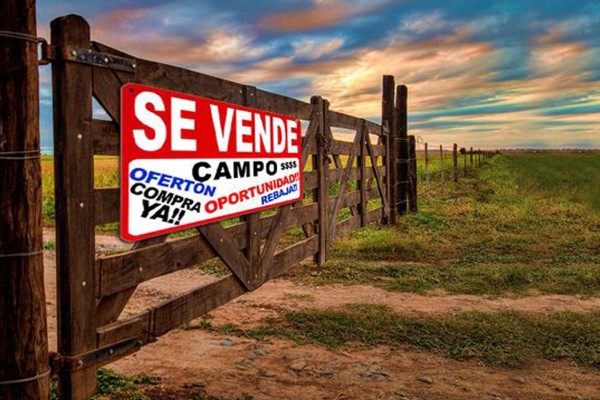 Advierten que en agosto cay� un 34% la compra y venta de campos