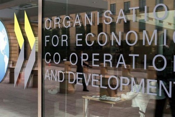 OCDE mejor� proyecciones sobre crecimiento del PBI argentino: prev� alza de 7,6% en 2021