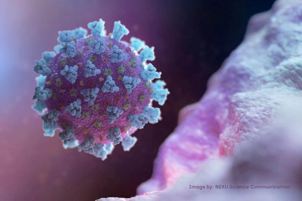 Cientficos de Estados Unidos hallaron un nuevo punto dbil del coronavirus