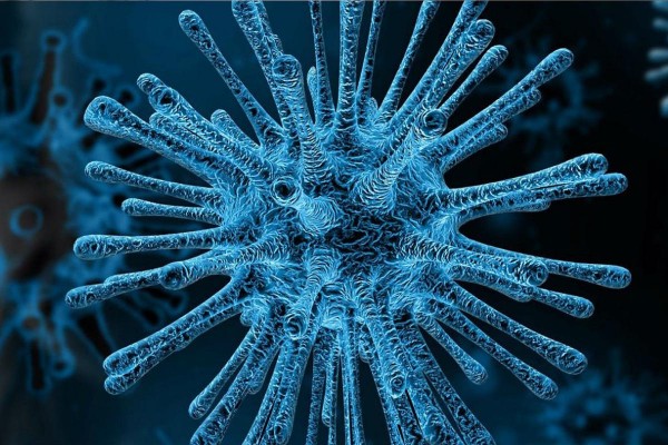 B.1.1.529: por qu causa preocupacin la variante del coronavirus altamente mutada hallada en Sudfrica