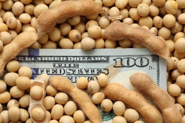 Ingreso de divisas del agro mejoró en julio, pero cae 10% en 2020