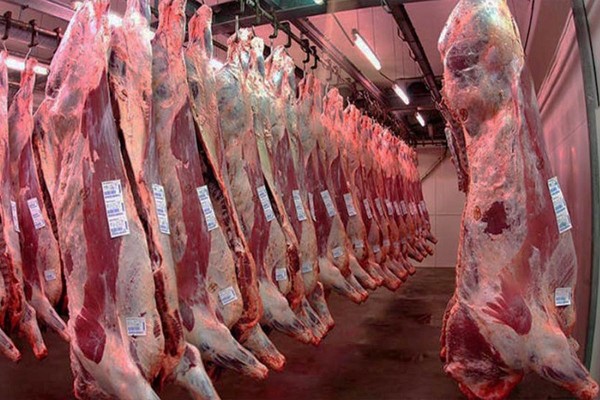 Las exportaciones de carne vacuna fueron rcord en mayo: el 84% de los envos fueron a China