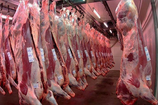 Detectaron Covid-19 en un cargamento de carne vacuna a China