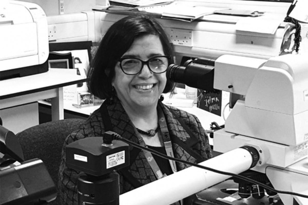 Coronavirus: cu�ntas dosis de la vacuna ser�n necesarias, seg�n Marta Cohen