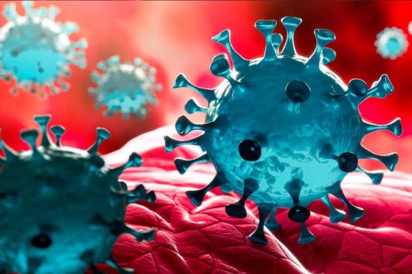 Coronavirus: Argentina fue el segundo pas del mundo en muertos de la jornada