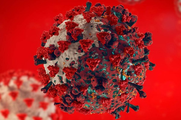 Por qu el SARS-CoV-2 podra mutar hacia un virus no patgeno