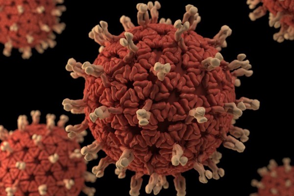 Francia confirm el primer caso de coronavirus con la variante micron en la regin de Pars