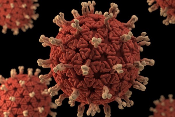 Francia confirm� el primer caso de coronavirus con la variante �micron en la regi�n de Par�s