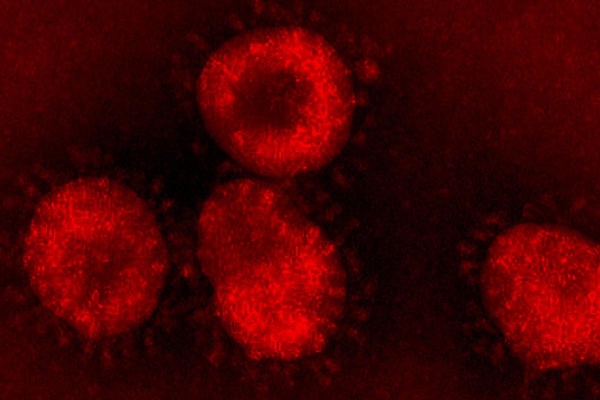 El coronavirus bate su propio rcord de contagios en un solo da: ms de 893.000