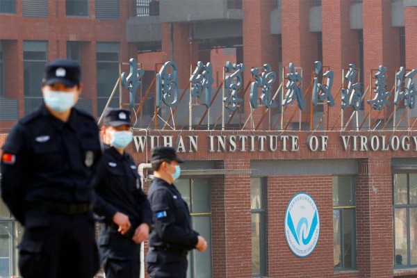 Nuevos documentos revelaron que el laboratorio de Wuhan planeaba mejorar los virus de los murci�lagos para estudiar los riesgos en los humanos