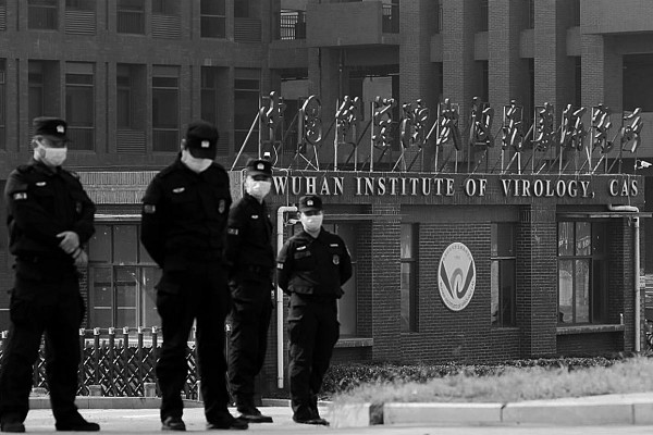 El laboratorio de Wuhan cre ocho virus, dos muy infecciosos para el ser humano