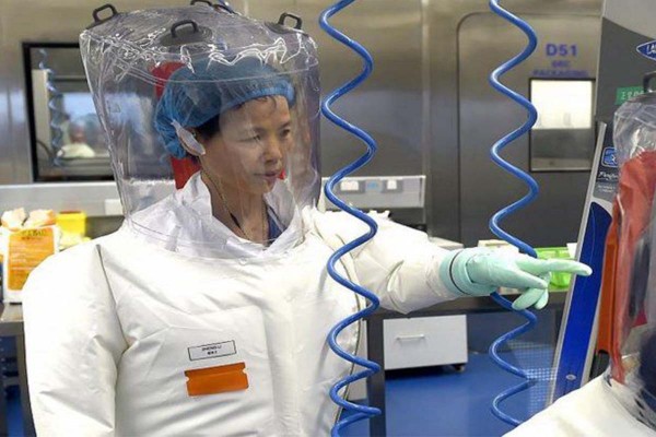 La OMS concluye que la teor�a de una 