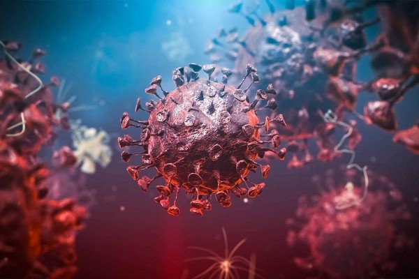 Covid-19 en Sudamrica: lo que se sabe de la abrupta cada de casos de coronavirus en la regin