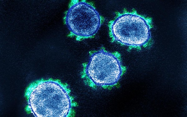 Para la OPS, Am�rica enfrentar� brotes de coronavirus 