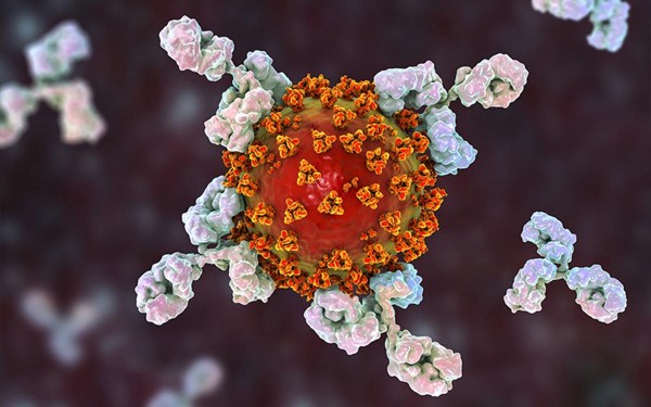 El coronavirus puede afectar la memoria: cules son las causas de la 