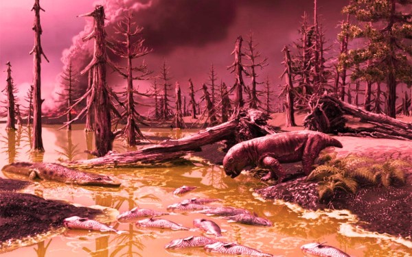 �Estamos cerca de una nueva extinci�n masiva de especies en la Tierra?: las se�ales de alerta