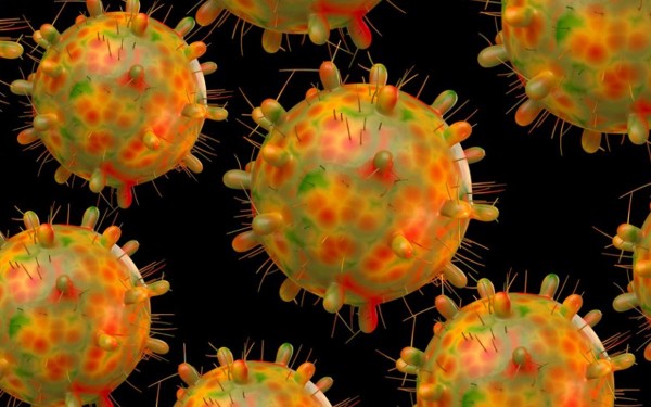 Sudfrica: se detect una nueva variante del coronavirus con mltiples mutaciones