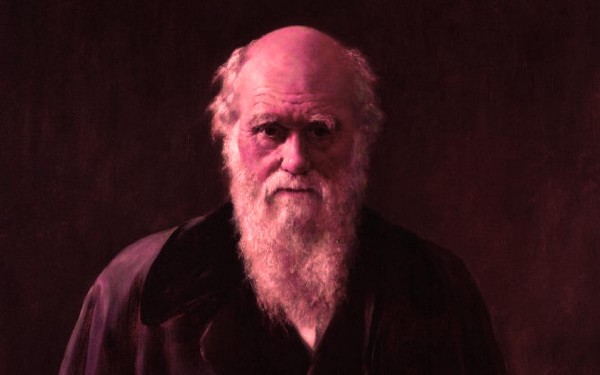 Teora de la evolucin de Darwin: por qu es incorrecto decir que 