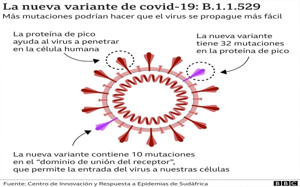 micron: qu es la epistasis y por qu es la clave para entender qu tan peligrosa es la nueva variante del coronavirus