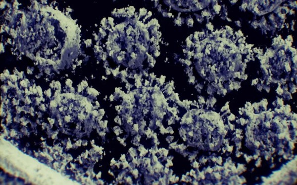 Detectan el cido nucleico que bloquea la entrada del coronavirus en las clulas humanas