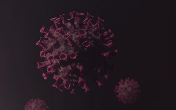 Coronavirus - No se conoce: El origen preciso del virus, dosis infecciosa del virus y nivel de anticuerpos necesarios para prevenir la infeccin