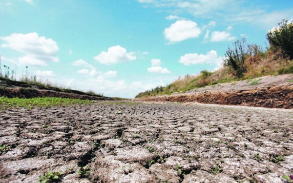 Por el impacto de la sequía, el campo analiza recurrir a la justicia para pedir la eliminación de las retenciones