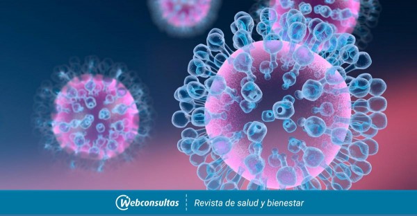 El gobierno reconoce circulaci�n 