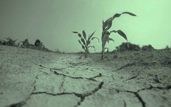 Sequía: piden que se declare el 