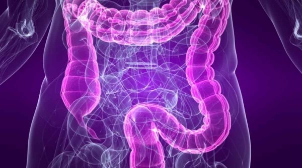 Detecci�n precoz: el c�ncer de colon puede prevenirse en el 90% de los casos si se diagnostica a tiempo