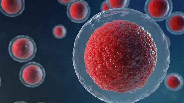 El congelamiento de �vulos crece 20% al a�o en Argentina