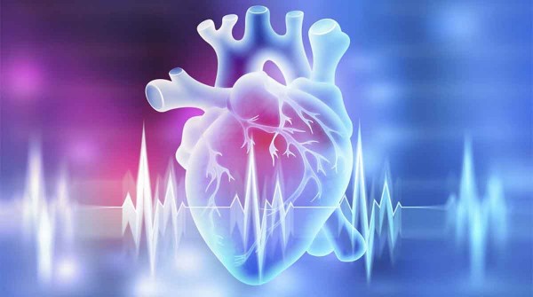 Innovaci�n terap�utica en el tratamiento de la Insuficiencia Card�aca