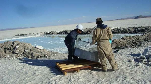 La producci�n de litio tuvo un crecimiento interanual del 68,4% en noviembre