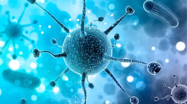 El 70% de las enfermedades emergentes en el mundo provienen de animales