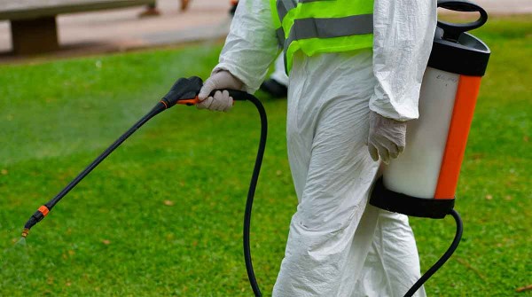 Cuál es el impacto en el cerebro de los niños en gestación del pesticida que varios países buscan prohibir