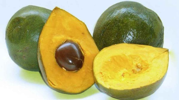 El alimento ideal para reemplazar al azúcar que mejora la salud intestinal y casi nadie conoce