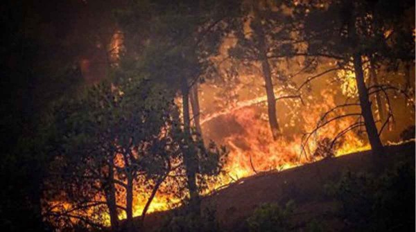 La contaminación del aire por los incendios forestales aumenta ante el calor extremo
