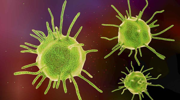 �Una nueva pandemia? Cient�ficos estudian la 