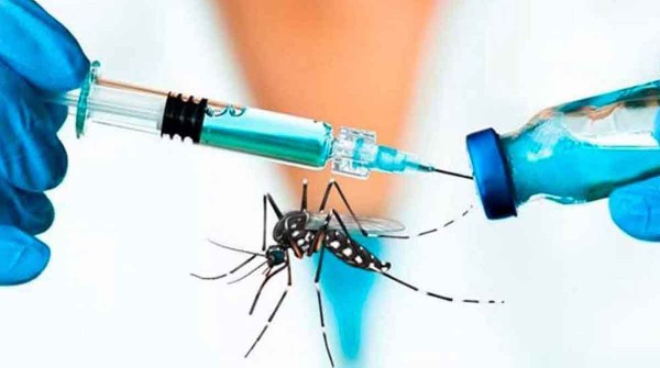 Covid y dengue: con niveles muy bajos de vacunacin, pocas compras y ausencia de campaas